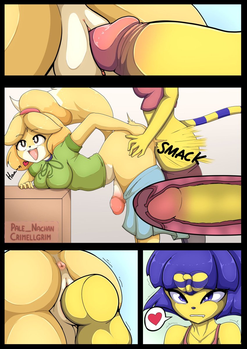 2023 2futas animal_crossing ankha ankha_(animal_crossing) anthro anthro_on_anthro anus ass balls bent_over better_version_at_source blonde_hair blue_hair bodily_fluids breasts canid canine canis clothing comic crimellgrim doggy_style domestic_cat domestic_dog duo english_text felid feline felis full-package_futanari fur futa_on_futa futa_only futanari genitals hair herm hi_res intersex isabelle_(animal_crossing) mammal nachan nintendo page_4 penis sex tail twitter_sample vagina vaginal_penetration yellow_body yellow_fur