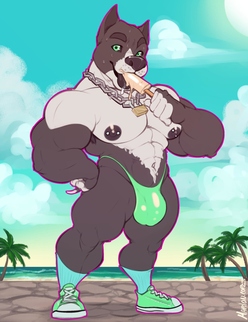 2019 abs absurd_res anthro armpit_hair beach big_muscles big_pecs bodily_fluids body_hair bulge canid canine canis chain_necklace clothing cloud daxx_(shirteater18) dessert detailed detailed_background domestic_dog food footwear hand_on_hip hi_res ice_cream legwear lock looking_at_viewer male male_only mammal marlon.cores muscular muscular_anthro muscular_male navel nipple_piercing nipples original original_character outside palm_tree pecs piercing pit_bull popsicle popsicle_melting seaside shirteater18 shoes sky socks solo standing sucking summer sweat thong tongue tongue_out tree underwear water