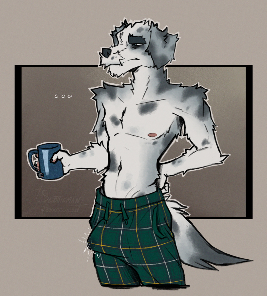 anthro bodily_fluids bulge canid canine canis clothing domestic_dog erection floppy_ears fur genital_fluids grey_body grey_fur hi_res male mammal pajama_pants pajamas precum precum_through_clothing scottie_(scottieman) scottieman shirtless solo tenting waking_up wet wet_clothing