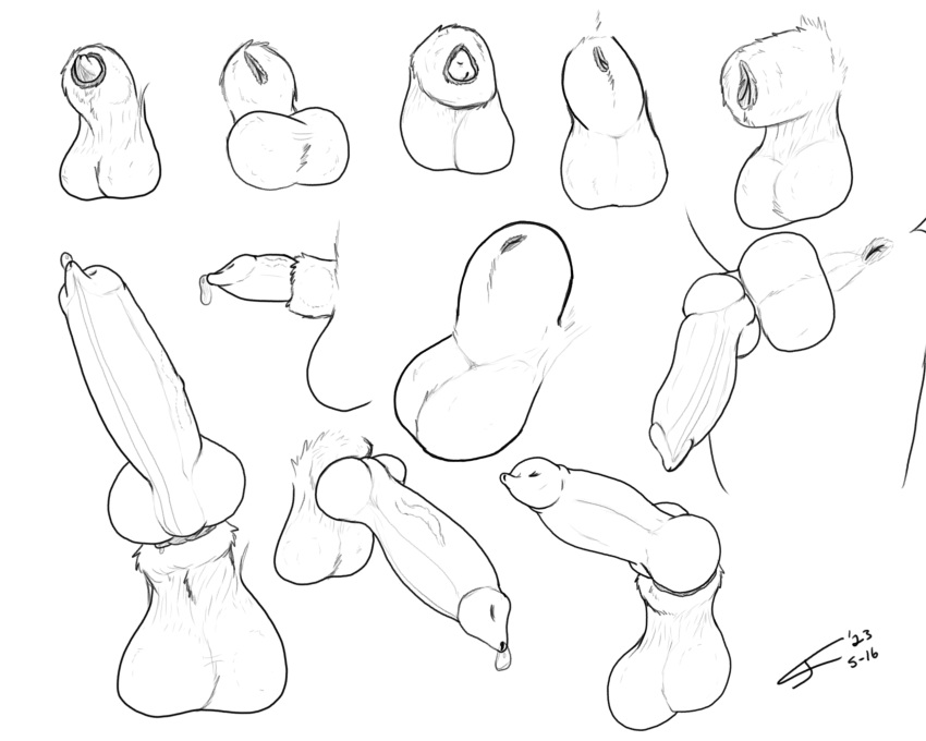 5:4 animal_genitalia animal_penis anthro balls bodily_fluids canid canine canine_genitalia canine_penis cj_fauxx~ erection fully_sheathed genital_fluids genitals hi_res knot male mammal monochrome penis precum saggy_balls sheath sketch_page zero_pictured