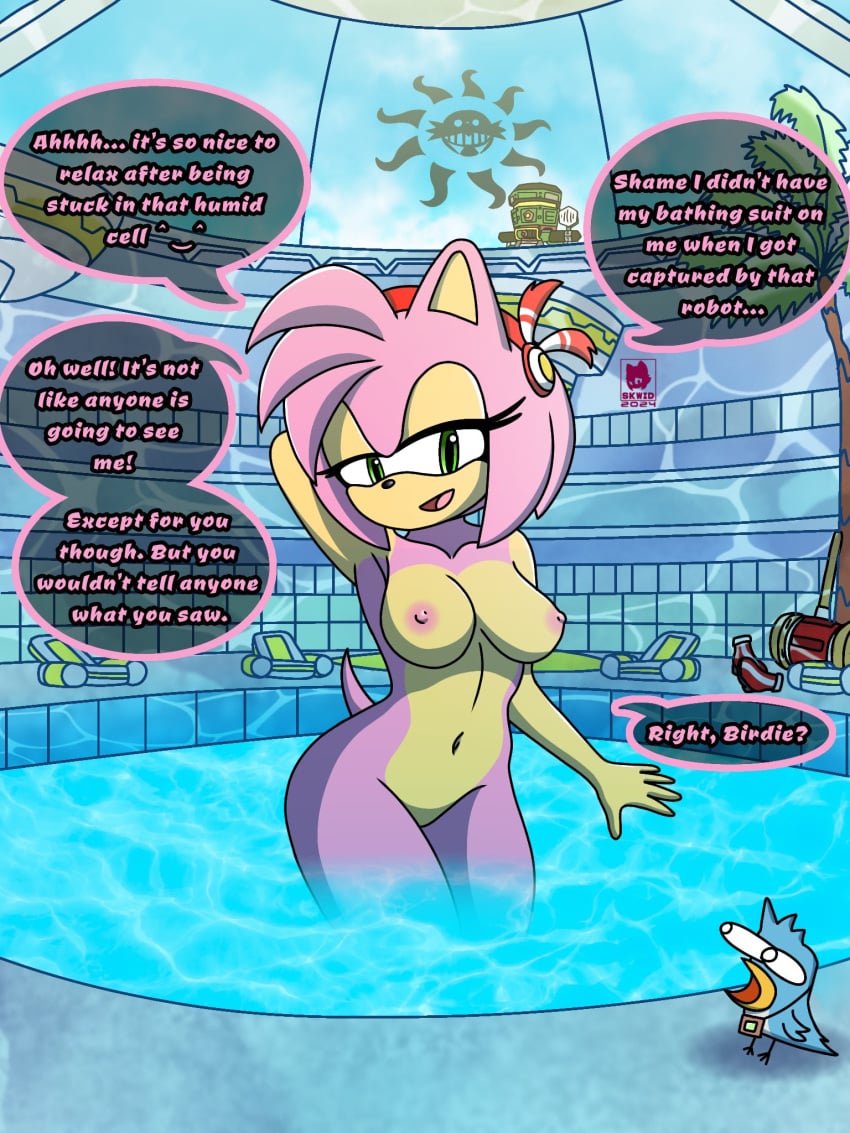 amy_rose anthro areola avian bedroom_eyes bird birdie_(sonic_adventure) breasts dialogue digital_media_(artwork) duo english_text eulipotyphlan feathers female feral fur green_eyes hair hedgehog hi_res mammal narrowed_eyes navel nipples nude open_mouth partially_submerged pink_body pool seductive sega skwid smile sonic_adventure sonic_the_hedgehog_(series) speech_bubble standing tail text water