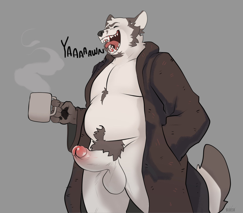 anthro balls bathrobe bathrobe_only belly bluesh canid canine chest_tuft closed_eyes clothed clothing erection facial_hair fangs fox genitals goatee hand_in_pocket hi_res holding_coffee_mug male mammal mature_male open_bathrobe open_mouth partially_clothed penis pockets pubes robe sideburns slightly_chubby solo standing steam teeth tongue tongue_out tuft yawn