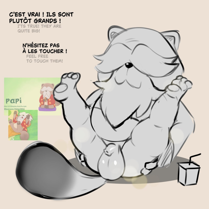 Taki Tanuki Rule 34 Image