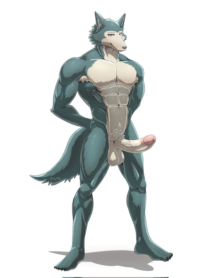 anthro beastars big_penis genitals hi_res legoshi_(beastars) male male_only muscular muscular_male penis redarvie scar smile solo