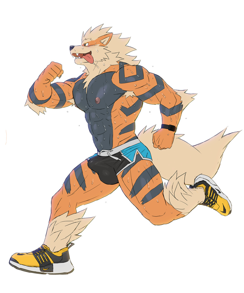 5_fingers abs anthro arcanine biped bodily_fluids bulge canid canine clothed clothing countershade_torso countershading fingers footwear generation_1_pokemon hi_res male male_only mammal muscular muscular_anthro muscular_male nintendo open_mouth open_smile pecs pokemon pokemon_(species) rossciaco running shoes smile sneakers solo sweat tail tongue tongue_out