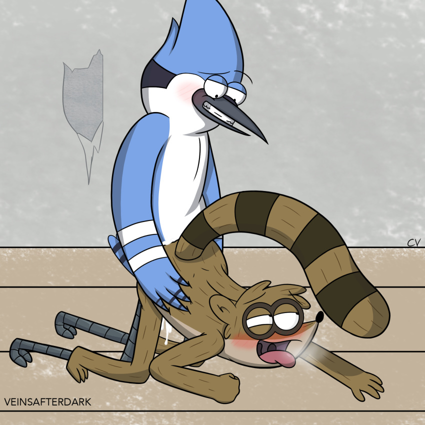 Mordecai (Regular Show) Rule 34 Image