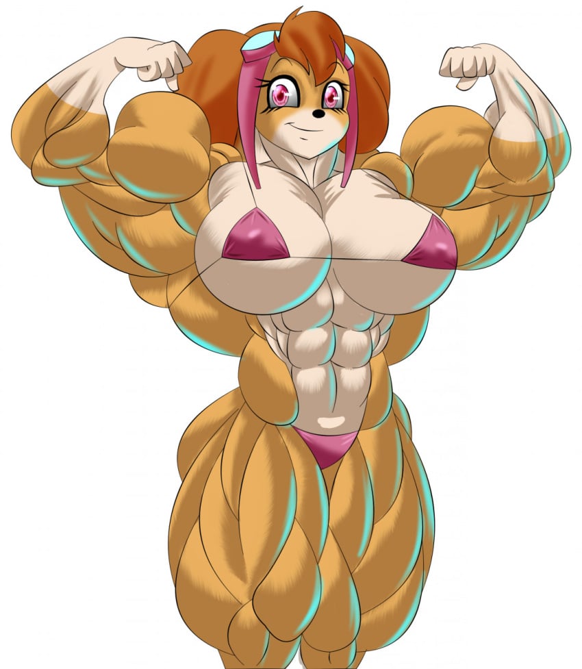 abs biceps big_breasts big_muscles bikini breasts female goggles goggles_on_head hair huge_breasts huge_muscles large_breasts large_muscles muscles muscular_female nickelodeon paw_patrol pink_eyes siegfried129 skye_(paw_patrol)