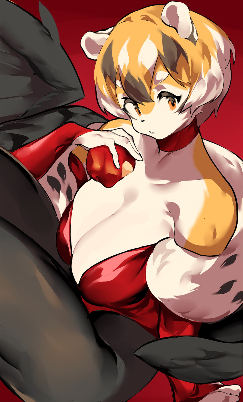 1girls apple big_breasts breasts choker dress fancy_clothing female mei_xiang mx99926 oc original_character short_hair smile smiling sole_female solo solo_female solo_focus striped striped_body striped_fur stripes thick_thighs tiger_ears tiger_girl tiger_stripes tiger_tail wide_hips