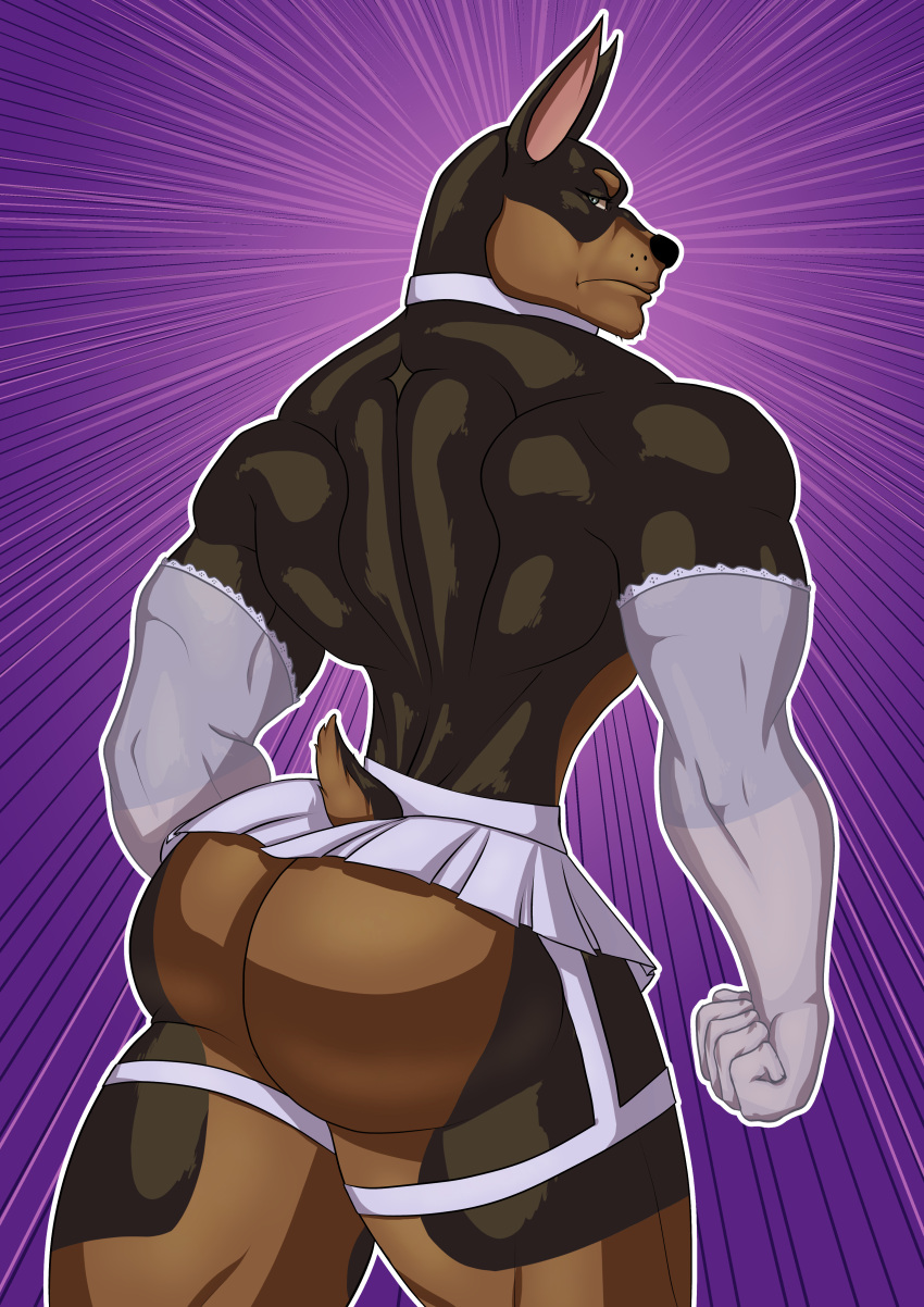 anthro ass ass_focus bara big_ass big_butt bubble_ass bubble_butt canine cell_shading crossdressing doberman dog_tail dutchess freezeray04 furry gay huge_ass huge_butt lingerie male male_only massive_ass massive_butt muscles muscular muscular_anthro muscular_male pet skirt