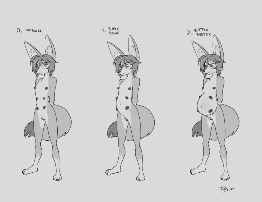 anthro anthro_only belly_bulge belly_expansion blush expansion female fennec_fox fox furry furry_only large_ears looking_down looking_nervous multi_nipple nipples pregnant pregnant_belly pregnant_female progression pussy short_hair standing tagme toby_art vulpine
