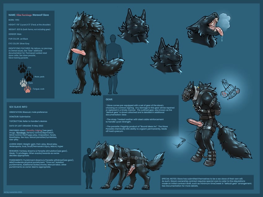 absurd_res anthro aphrodisiac bondage bondage_gear bondage_harness bound canid canine canis chastity_device collar cuff_(restraint) dire_wolf drugs earmuffs edging explicitly_stated_consent feral gimp_mask hi_res key level000_(commissioner) loonertick lycanthropy male mammal mask mitts model_sheet orgasm_denial parasite penetration permanent permanent_chastity_device permanent_orgasm_denial restraints shock_collar slave solo steel_collar tail tail_wrapped tail_wrapping tail_wraps urethral urethral_penetration were werecanid werecanine werewolf wraps