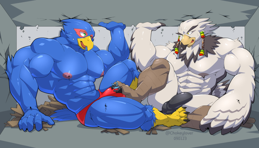 anthro avian balls beak bird blue_body blue_fur breath_of_the_wild bulge canid canine clothing crossover destruction detailed_bulge duo falco_lombardi feathers feet foot_fetish foot_play footjob fur generation_4_pokemon genital_outline genitals growth hi_res inside lucario macro maldu male male_focus mammal nintendo pokemon pokemon_(species) rito sex sitting speedo star_fox swimwear teba_(tloz) the_legend_of_zelda white_body white_feathers worship