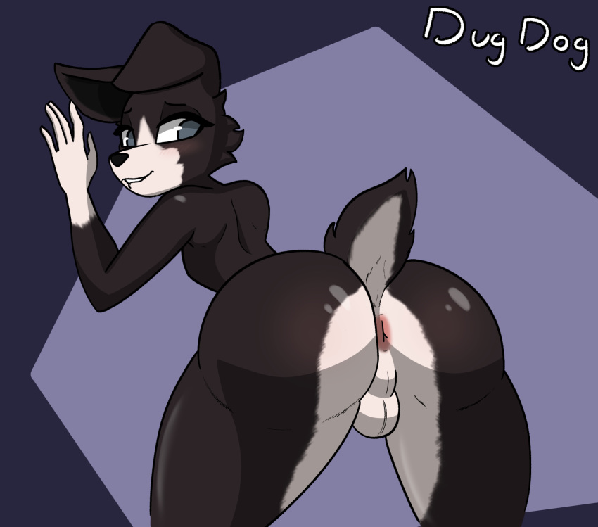 anthro anus ass backsack balls bedroom_eyes bent_over big_butt bite biting_lip black_body black_fur blue_eyes blush border_collie canid canine canis collie digital_media_(artwork) domestic_dog doug_(dugdog) dugdog femboy fur genitals girly hair herding_dog hi_res male mammal multicolored_body multicolored_fur narrowed_eyes nude pastoral_dog presenting presenting_anus presenting_hindquarters rear_view seductive sheepdog signature simple_background solo solo_focus tail white_body white_fur