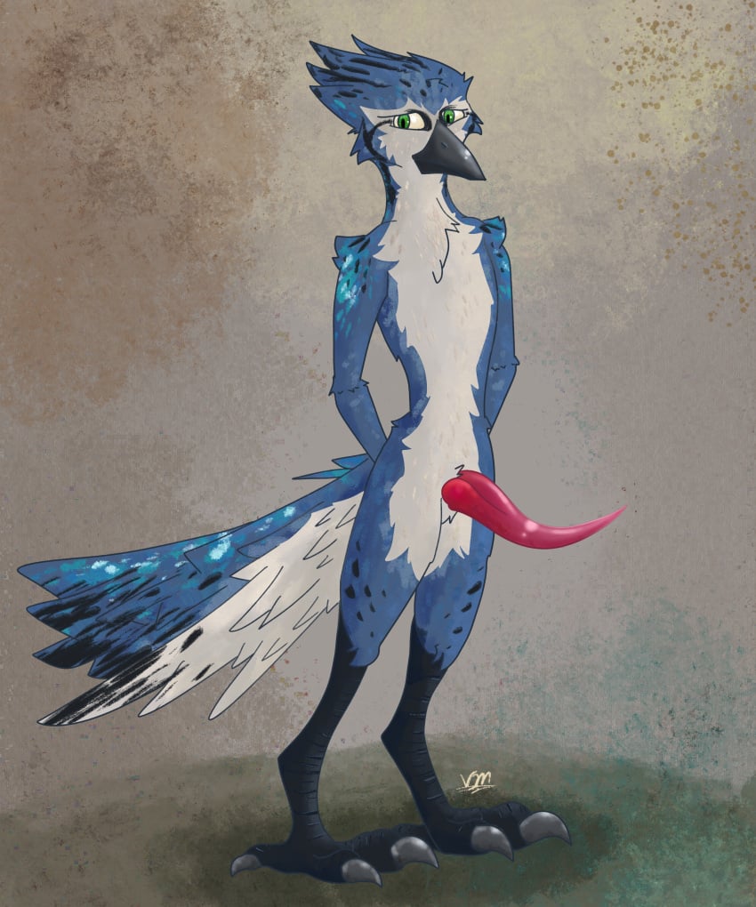 absurd_res anatomically_correct anatomically_correct_genitalia anthro avian avian_feet avian_penis beak big_penis bird blue_jay claws corvid corvidae coy feathers feet genitals green_eyes hands_behind_back hi_res jay_(bird) looking_away male new_world_jay oscine passerine penis shy solo tail_feathers tapering_penis toe_claws toes vike_mike wingless_avian