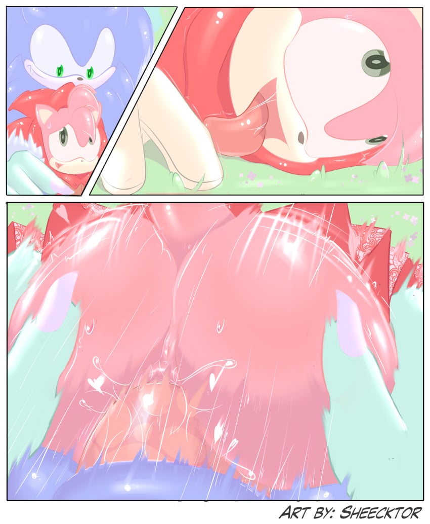 ahe_gao amy_rose anthro anus classic_amy_rose classic_sonic_(universe) duo eulipotyphlan fairy_tales female from_behind_(disambiguation) hedgehog hi_res little_red_riding_hood_(copyright) looking_pleasured male male/female mammal sega sex sheecktor sonic_(series) sonic_the_hedgehog_(series) tongue tongue_out vaginal_penetration were wereeulipotyphlan werehog