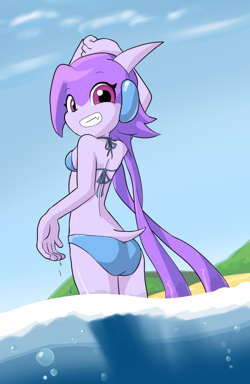 anthro aquatic_dragon beach dragon freedom_planet goshaag looking_back_at_viewer sash_lilac video_games