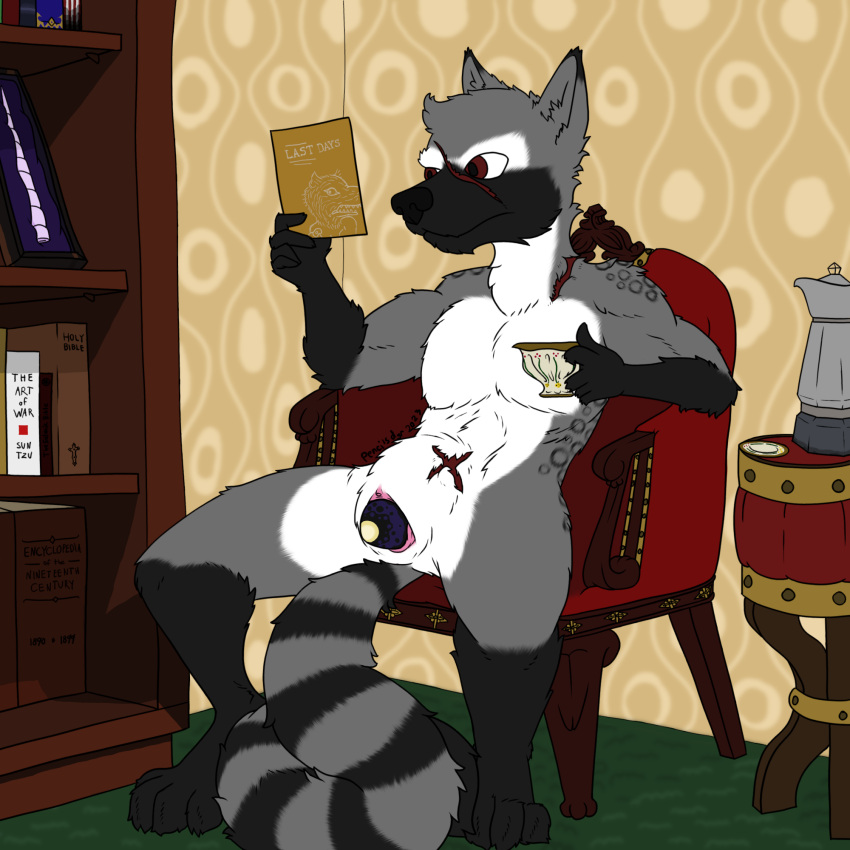 2023 andromorph anthro belly beverage book bookshelf casual casual_nudity container cuntboy cup digital_media_(artwork) egg egg_laying fur furniture genitals gloves_(marking) grey_body grey_fur hi_res horn intersex leg_markings markings muscular muscular_intersex pencilsdgr pussy red_eyes roose_calur_(pencilsdgr) scar socks_(marking) solo spots spotted_body striped_markings striped_tail stripes table tail tail_markings tea unicorn_horn white_belly white_body white_fur