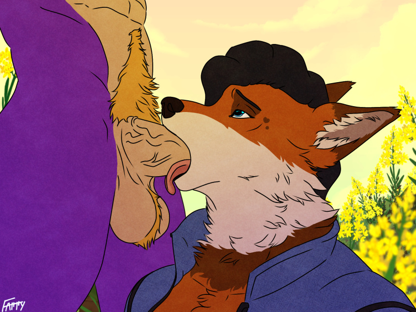 anthro balls blowjob canid canine clothing dexel_(dexel) dragon duo farry farrythedragon fellatio flower fox fur genitals hair hi_res male male/male mammal oral oral_penetration outside outside_sex penetration penis penis_in_mouth plant pubes sex sky tongue tongue_out tongue_out_blowjob