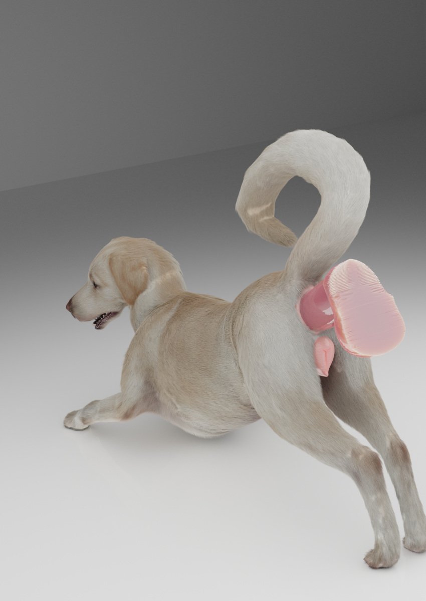 3d anal anal_sex animal_genitalia animal_pussy anonymous_artist ass ass_up bird_dog brown_body brown_fur canid canine canis dildo dildo_penetration doggy_style domestic_dog female feral feral_penetrated from_behind_position fur genitals hi_res hunting_dog labrador mammal penetration pink_flesh pussy raised_tail retriever sex sex_toy size_difference size_play solo tail white_body white_fur zoophilia