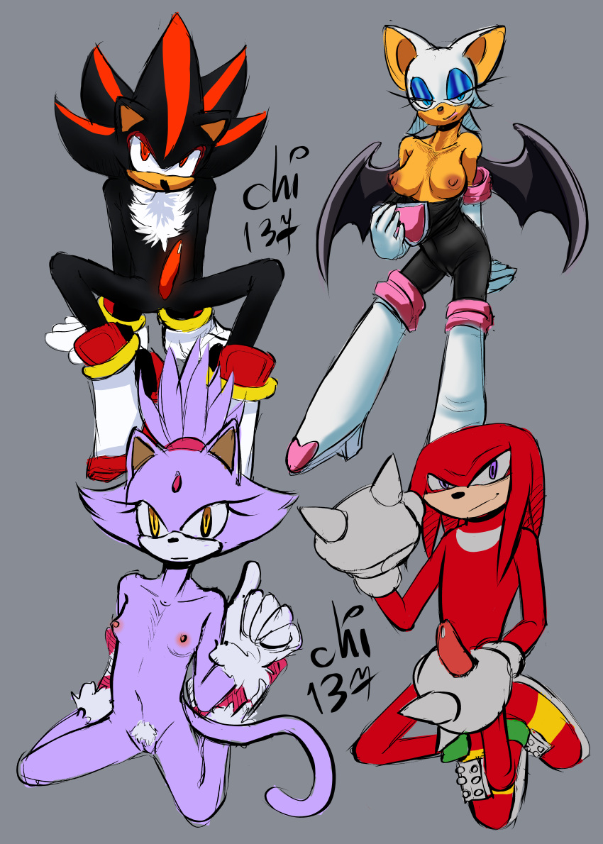 2boys 2girls animal_ears animal_genitalia animal_penis anthro bat blaze_the_cat breasts chi_137 dick female fur furry handjob hedgehog knuckles_the_echidna lashes male naked naked_female naked_male nude nude_female nude_male pussy rouge_the_bat shadow_the_hedgehog sonic_(series) vagina