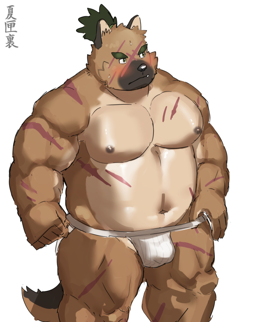 anthro belly brown_body brown_fur bulge canid canine canis clothing domestic_dog embarrassed eyebrows fur hi_res jockstrap lifewonders male mammal musclegut natsuhakoura navel nipples pecs scar scars_all_over solo thick_eyebrows tokyo_afterschool_summoners topknot underwear yasuyori