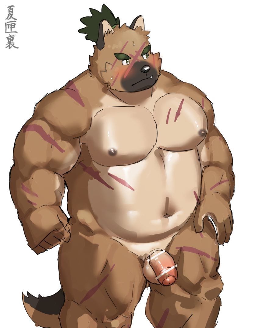 anthro balls belly brown_body brown_fur canid canine canis domestic_dog embarrassed eyebrows flaccid foreskin fur genitals hi_res lifewonders male mammal musclegut natsuhakoura navel nipples nude pecs penis scar scars_all_over solo thick_eyebrows tokyo_afterschool_summoners topknot yasuyori