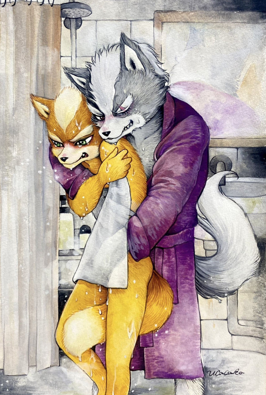 2023 2boys anthro anthro_on_anthro anthro_only bathrobe blush flustered fox fox_mccloud furry furry_male furry_only furry_with_furry green_eyes grey_fur grin house_coat male purple_robe size_difference smile standing star_fox touching_crotch touching_penis towel towel_only traditional_media_(artwork) ulala_ko wet wet_body wolf wolf_o'donnell yaoi yellow_fur