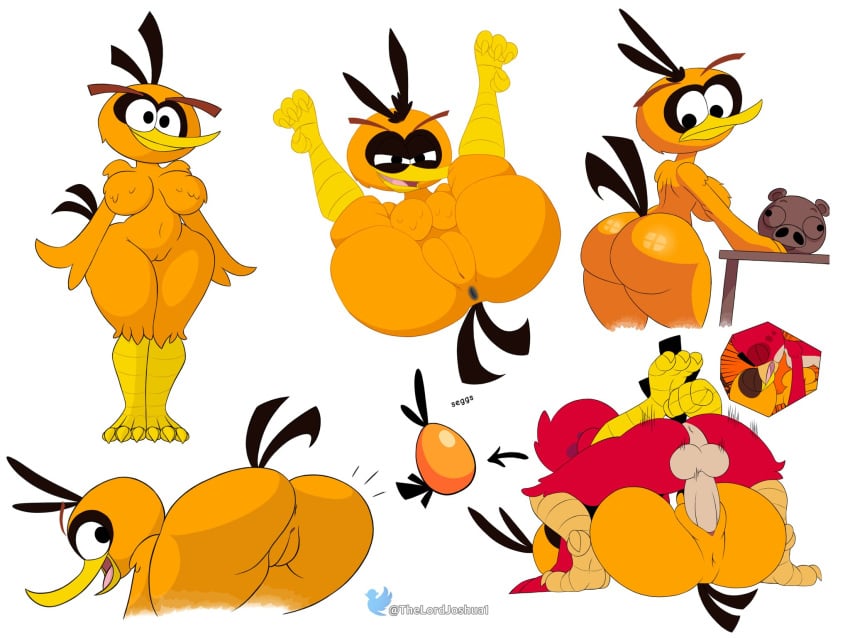 1boy 1girls angry_birds anthro anus avian avian_humanoid beak big_ass big_breasts big_butt bird bird_girl bird_humanoid boobs breasts bubbles_(angry_birds) egg feathers furry genderbend genderswap long_beak no_nipples no_nipples_visible non-mammal_breasts orange_body orange_feathers orange_fur penetration penis pussy red_(angry_birds) rule_63 sex_toy thelordjoshua thick_ass thick_thighs tits vagina vaginal vaginal_penetration vaginal_sex white_background