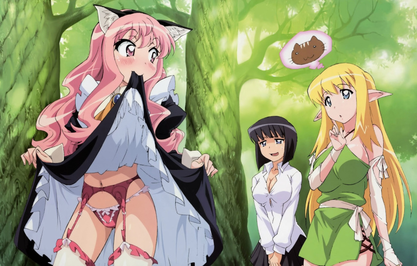 animal_ears black_hair blonde_hair blue_eyes blush breasts bridal_gauntlets cat_ears clothing duplicate elf fujii_masahiro garter_belt large_breasts louise_francoise_le_blanc_de_la_valliere mouth_hold oppai panties pink_eyes pink_hair pointy_ears siesta skirt skirt_lift stockings thighhighs tiffania_westwood underwear zero_no_tsukaima