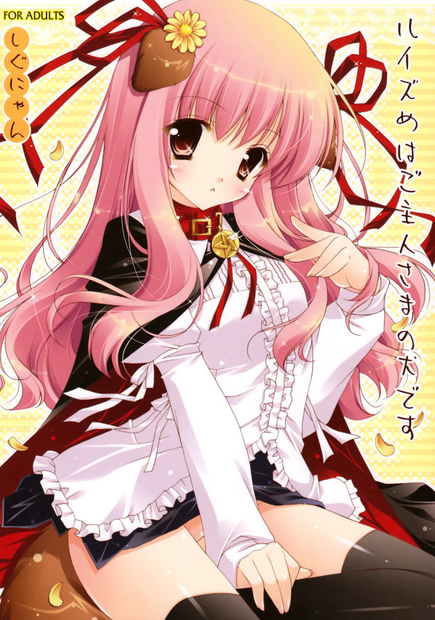 :< animal_ear blush cape clothing collar dog_ear flower high_resolution inumimi kemonomimi louise_francoise_le_blanc_de_la_valliere pentacle pink_eyes pink_hair shigunyan skirt stockings thighhighs translation_request zero_no_tsukaima