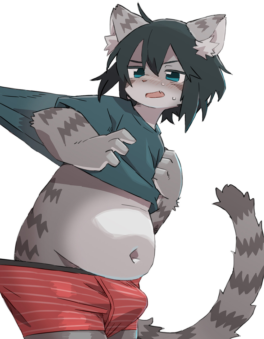 2023 anthro belly black_hair blue_eyes blush bulge clothing domestic_cat felid feline felis fur grey_body grey_fur hair hi_res male mammal navel si_ra_ta_ma3 slightly_chubby slightly_chubby_anthro slightly_chubby_male solo striped_body striped_fur stripes tail underwear