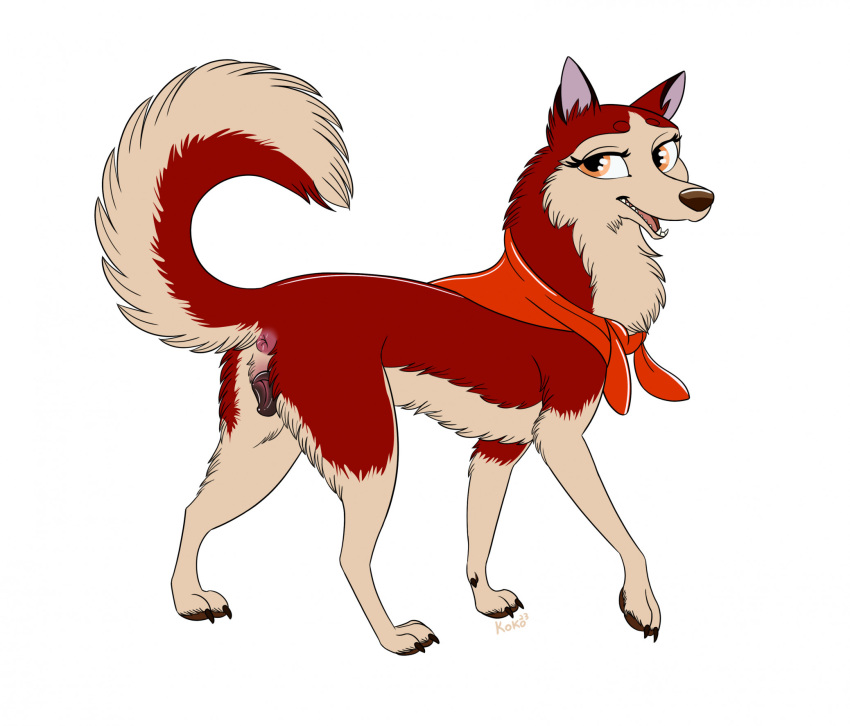 anatomically_correct anatomically_correct_genitalia animal_genitalia animal_pussy anus balto_(film) bandana black_pussy canid canine canine_genitalia canine_pussy canis domestic_dog eyelashes female feral fur genitals hi_res human husky jenna_(balto) kerchief looking_at_viewer mammal multicolored_body nordic_sled_dog plump_labia presenting presenting_pussy pussy quadruped queenkoko raised_tail rear_view red_body red_fur siberian_husky simple_background smile smiling_at_viewer solo spitz standing tail two_tone_body universal_studios white_background