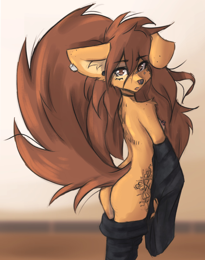 1girls apogee_(tinygaypirate) ass brown_hair female furry looking_at_viewer solo tail tinygaypirate undressing