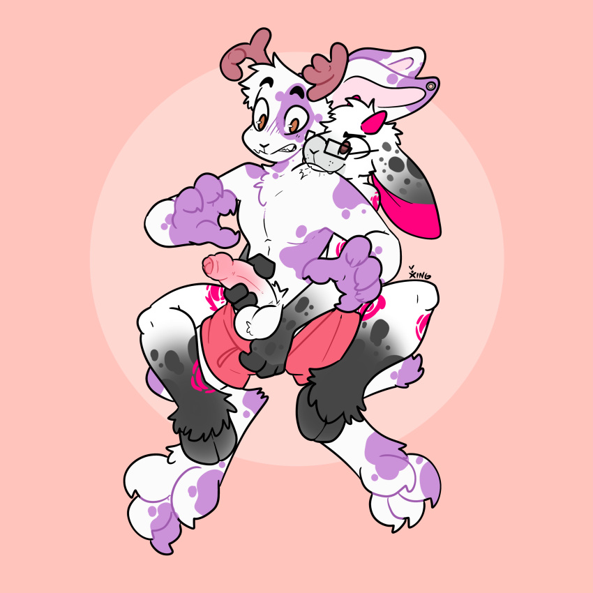 Absurd Res Rule 34 Image