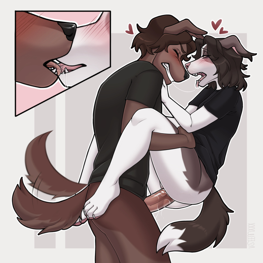 alexa_(mystery.dog) anthro blush bottomless brown_body brown_fur canid canine canis clenched_teeth closed_eyes clothed clothing domestic_dog duo female female_penetrated floppy_ears french_kissing fur heart hi_res kissing male male/female male_penetrating male_penetrating_female mammal michael_(mystery.dog) penetration penile penile_penetration penis_in_pussy romantic romantic_couple sex shirt stand_and_carry_position standing standing_sex t-shirt tail tail_motion tailwag teeth tongue tongue_out topwear v7eemx vaginal_penetration vaginal_penetration