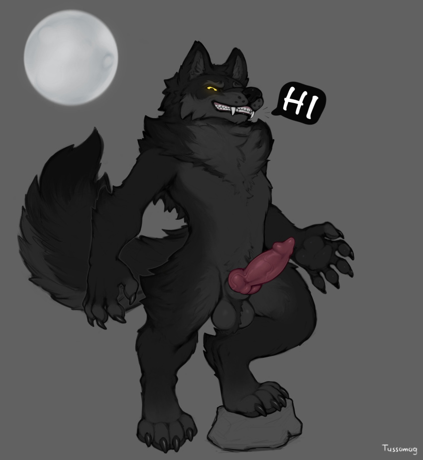 absurd_res animal_genitalia animal_penis anthro awoo_(caw-) balls black_body black_fur black_nose canid canine canine_genitalia canine_penis canis claws feet fur genitals hi_res knot male mammal nude penis sheath smile solo teeth tussamag wolf