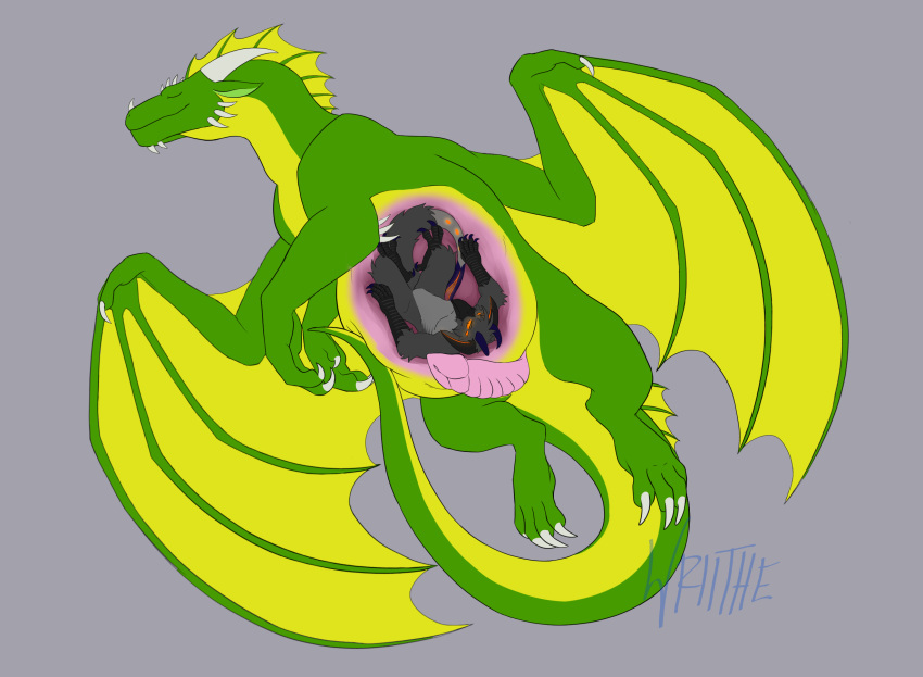 anthro avian belly claws closed_eyes digitigrade dragon ears_down erection feral frill_(anatomy) genitals green_body hi_res horn internal membrane_(anatomy) membranous_wings multi_eye oral_vore penis pivoted_ears pred prey size_difference stomach_bulge vore wings wriithe