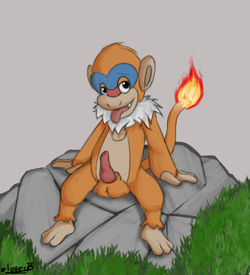 anthro aroused bedroom_eyes chunkypandaroo feral genitals haplorhine hi_res looking_at_viewer male mammal monferno monkey narrowed_eyes nintendo penis pokemon primate seductive sitting_on_rock solo spread_legs spreading tongue tongue_out