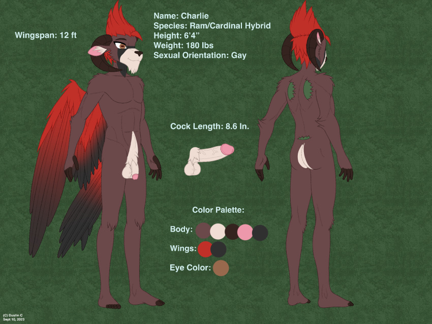 anthro ass avian balls bovid brown_body brown_eyes brown_fur caprine charlie_(dustinc) color_swatch digital_media_(artwork) dustin_c english_text erection feathers flaccid fur genitals hair hi_res humanoid_genitalia humanoid_penis hybrid male mammal model_sheet nude penile penis red_hair simple_background smile solo standing tail tail_feathers text wings wings_folded