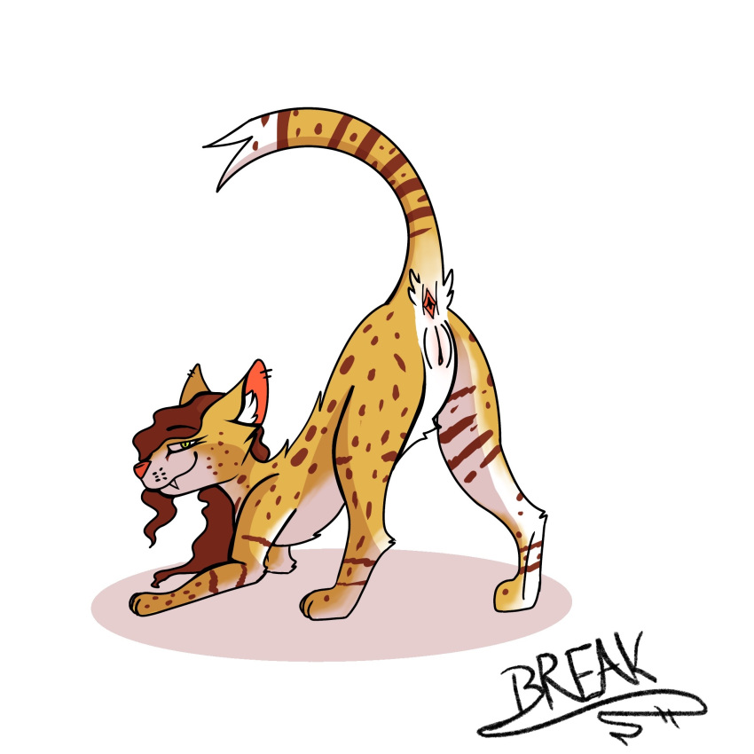 break_(disambiguation) colored felid feline female feral genitals hi_res mammal piercing presenting serval shaded solo