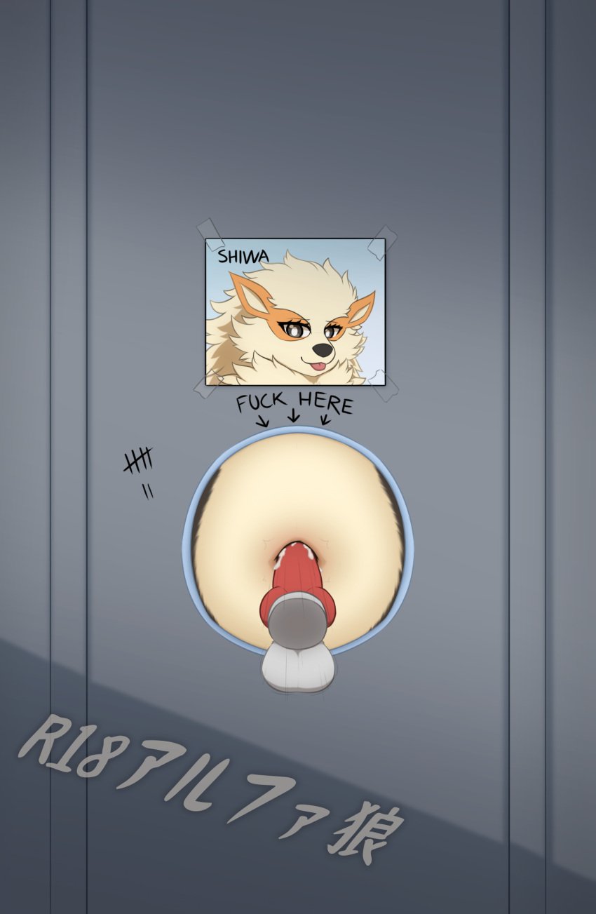 2023 ambiguous_gender animal_genitalia animal_penis anthro anthrofied arcanine artist_name balls blep canid canine_genitalia canine_penis character_name cum_in_navel cute_fangs deep_navel disembodied_penis duo english_text eyebrows eyelashes female_(lore) fur generation_1_pokemon genitals glory_hole hi_res japanese_text knot male male/ambiguous mammal mane motion_lines navel navel_fetish navel_penetration nintendo orange_body orange_fur penetration penis penis_in_navel photo pokemon pokemon_(species) pokemorph prick_ears public_use r18alphawolf shiwa_(r18alphawolf) slightly_chubby solo_focus stripes tail tally_marks tan_body tan_fur text tongue tongue_out tuft