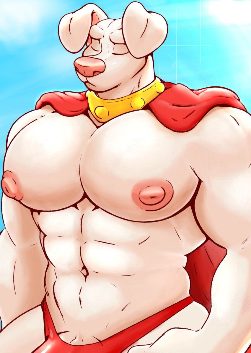 2022 abs absurd_res anthro areola barazoku beart beartblorp big_muscles big_nipples big_pecs biped canid canine canis cape closed_eyes clothing collar dc_comics domestic_dog floppy_ears genitals half-length_portrait hi_res huge_pecs krypto krypto_the_superdog male male_only mammal muscular muscular_anthro muscular_male nipples pecs penis penis_base pinup portrait pose red_clothing red_underwear sky solo underwear white_body