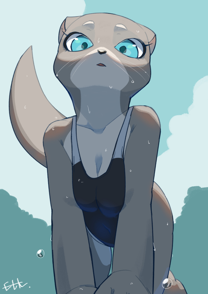 1girls 2022 breast_squish breasts cute cyan_eyes dripping eyelashes female female_only furry furry_only grey_body kemokin_mania long_tail looking_at_viewer ms._ota_(kemokin_mania) otter signature small_breasts swimsuit tail water water_drop wet wet_body whiskers wholesome