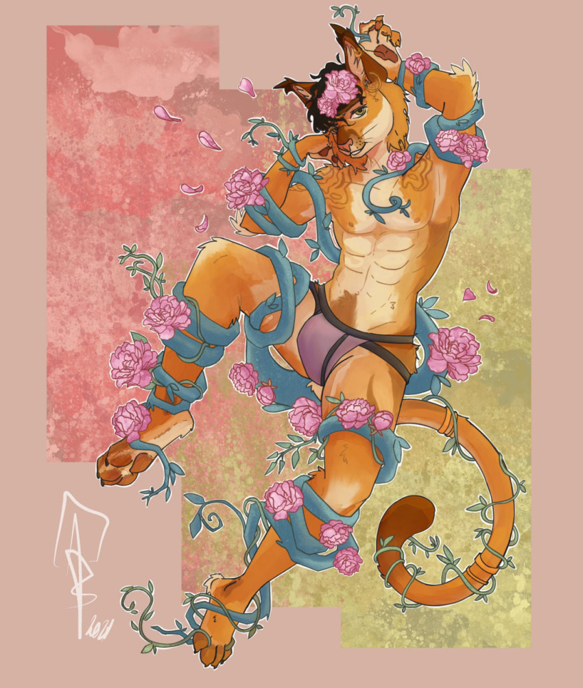 anthro bulge caracal caracal_(genus) cat_tail clothing cute_expression entangled farsii felid feline flower hi_res jockstrap male mammal opharia paws petals plant rose_(flower) solo underwear