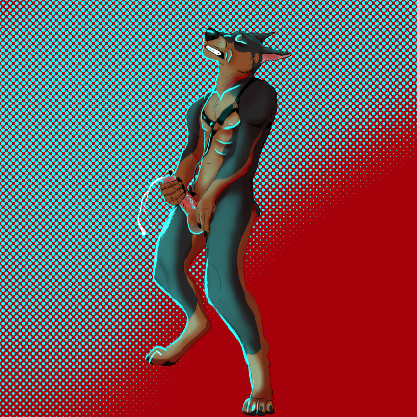 anthro athletic athletic_male balls bodily_fluids canid canine canis clenched_teeth cum cumshot dobermann docked_tail domestic_dog ejaculation fenderr genital_fluids genitals harness hi_res humanoid_genitalia humanoid_penis male mammal masturbation orgasm_face penis pinscher prick_ears short_tail simple_background solo tail teeth touching_penis