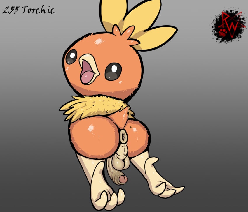 4_toes anus ass avian avian_feet backsack balls beak big_butt big_penis biped bird darkened_genitalia digital_media_(artwork) feathers feet feral foreskin fuzzy generation_3_pokemon genitals hi_res humanoid_genitalia humanoid_penis looking_at_viewer looking_back male male_only nintendo open_mouth orange_body penis pokemon pokemon_(species) presenting puffy_anus rapistwerewolf rear_view simple_background smile soles solo tail tail_feathers toes torchic