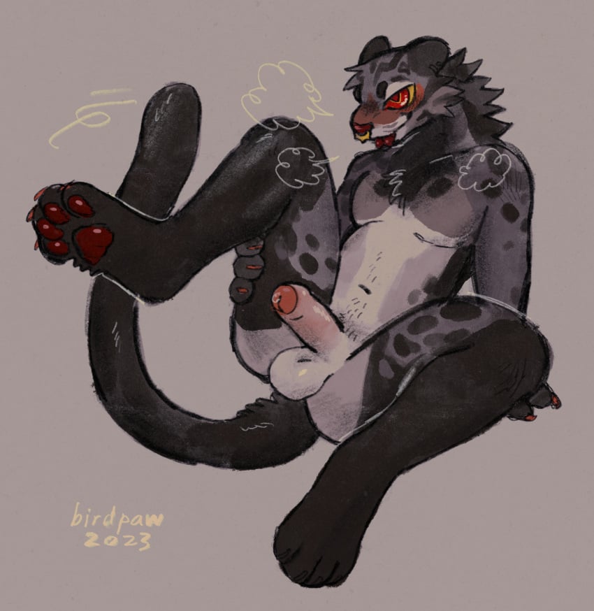 2023 anthro artist_name balls birdpaw_(artist) black_tail bodily_fluids cheek_tuft digital_media_(artwork) digitigrade erection facial_tuft felid foreskin fur genital_fluids genitals glans grey_balls grey_body grey_fur hand_on_leg hi_res hindpaw humanoid_genitalia humanoid_penis leg_markings male mammal markings navel neck_tuft pantherine partially_retracted_foreskin pawpads paws penis precum raised_leg red_eyes red_glans red_nose red_pawpads red_tongue sitting slightly_chubby socks_(marking) solo tail tongue tuft yellow_sclera