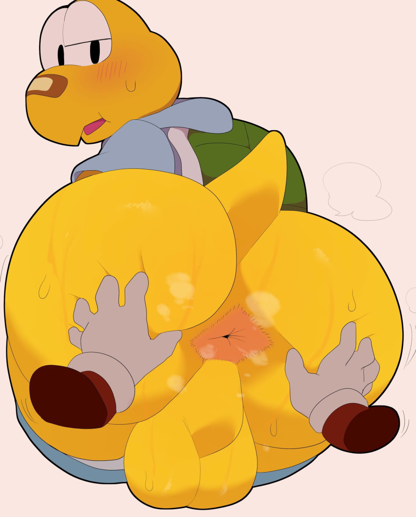 2023 5_fingers abnarie anthro anus ass ass_focus backsack balls bandage big_butt biped blush bodily_fluids bottomwear clothing disembodied_hand fingers gay genitals green_koopa_troopa hi_res hoodie huge_butt koopa koopa_troopa koops looking_back male male_only mario_(series) nintendo paper_mario paper_mario:_the_thousand-year_door perineum rear_view reptile scalie solo spread_ass spreading sweat sweatdrop topwear