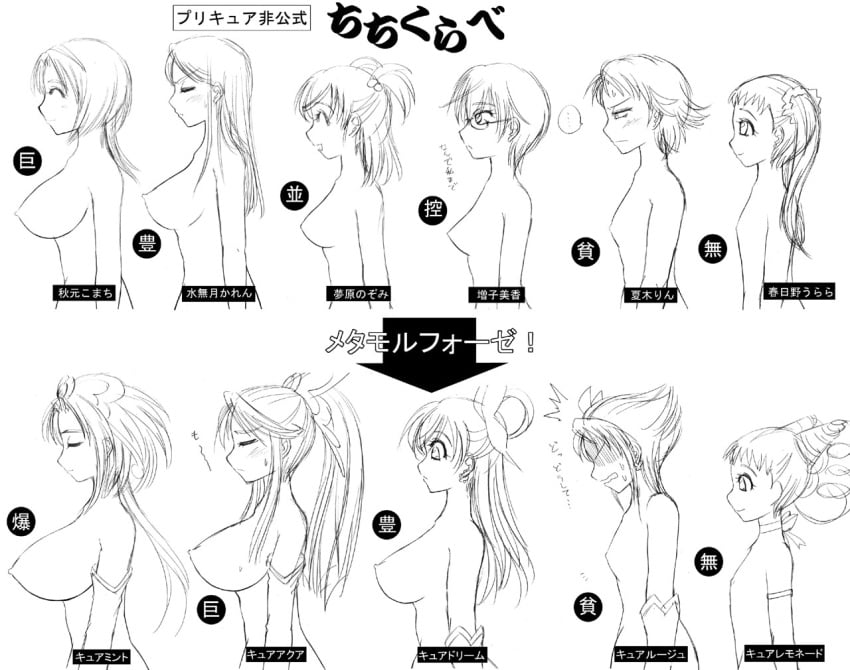 akimoto_komachi artist_request breast_chart breast_size_comparison cure_aqua cure_dream cure_lemonade cure_mint cure_rouge flat_chest kasugano_urara large_breasts magical_girl medium_breasts minazuki_karen natsuki_rin precure pretty_cure small_breasts tagme translation_request yumehara_nozomi