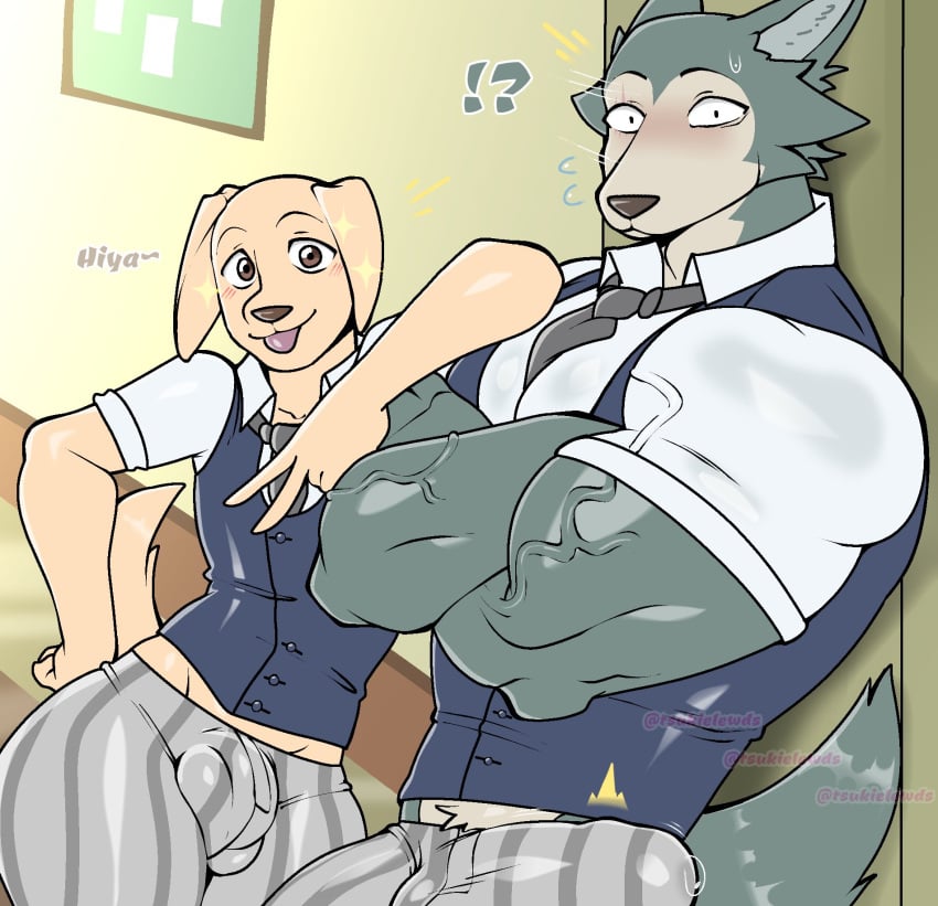 !? 2boys anthro artisticwolfie beastars bird_dog blush bodily_fluids bottomwear bulge canid canine canis clothed clothing domestic_dog duo erection erection_under_clothing gay genital_fluids genital_outline hi_res hunting_dog jack_(beastars) labrador legoshi_(beastars) looking_at_viewer male male/male male_only mammal muscular muscular_anthro muscular_male necktie pants penis_outline penis_shaped_bulge precum retriever school_uniform size_difference tsukielewds uniform wolf